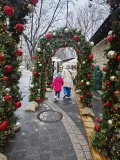 IMG_20241221_135446