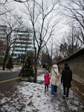 IMG_20241221_135619