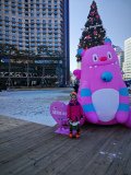 IMG_20241224_112524
