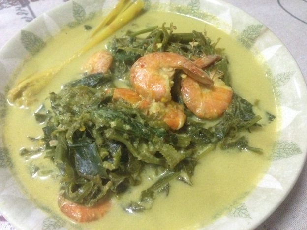 resepi masak lemak pucuk paku